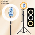 [ZOMEI] 10/12-Inch LED Selfie Ring Light, Compatible with Dual Phone Clips/Adjustable Bracket - 3 Color Modes, 12 Brightness Levels, USB Powered, Phone Stand/Ring-shaped Fill Light- Ideal for Makeup, Photography & Video, Selfie Stick for Phone