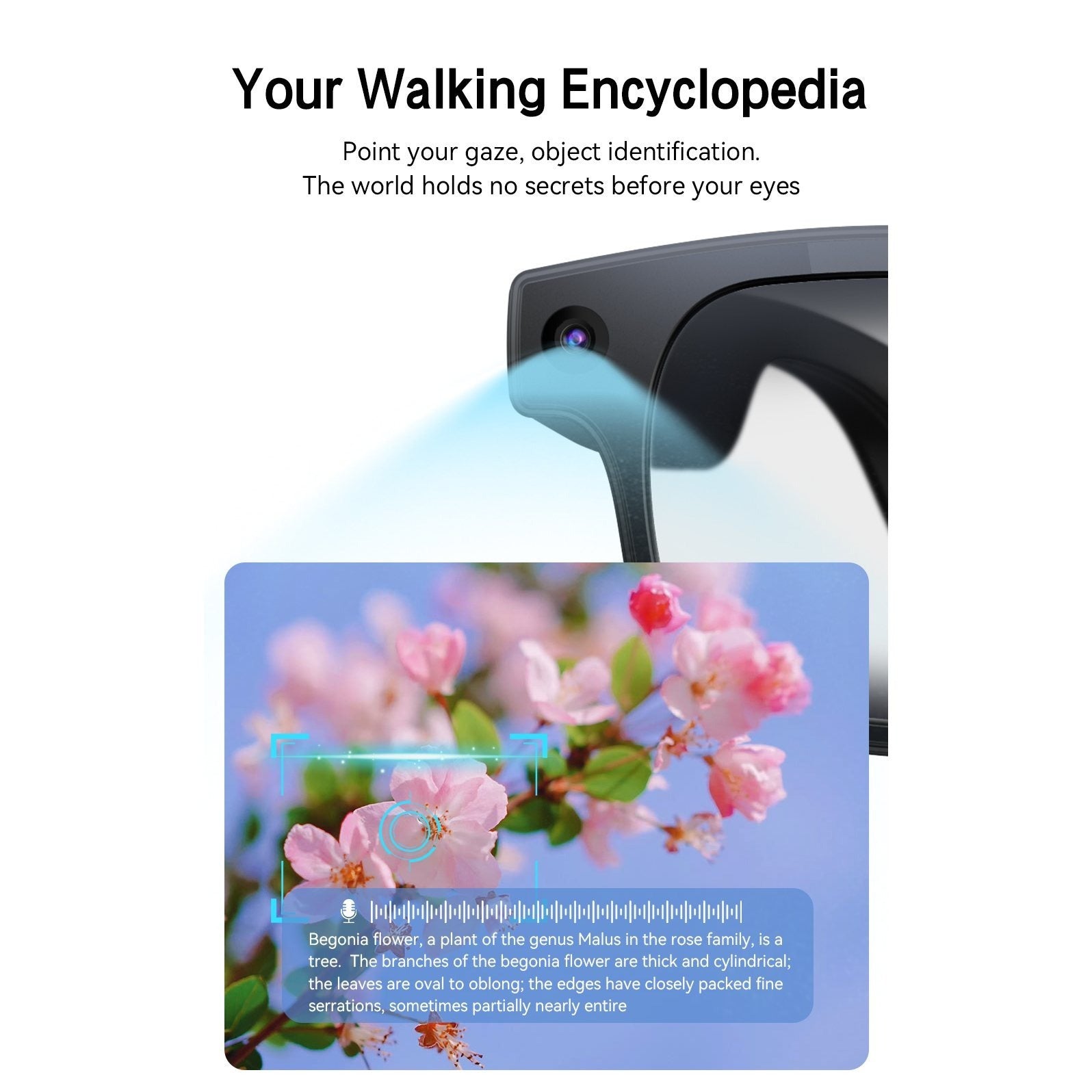 AI Smart Glasses Camera 8MP HD Video Recording Glasses with Audio, Real-Time Translation, Bluetooth Call & Music, AI Object Recognition, Touch Control, Wearable Camera Glasses for Men Women Travel Outdoor