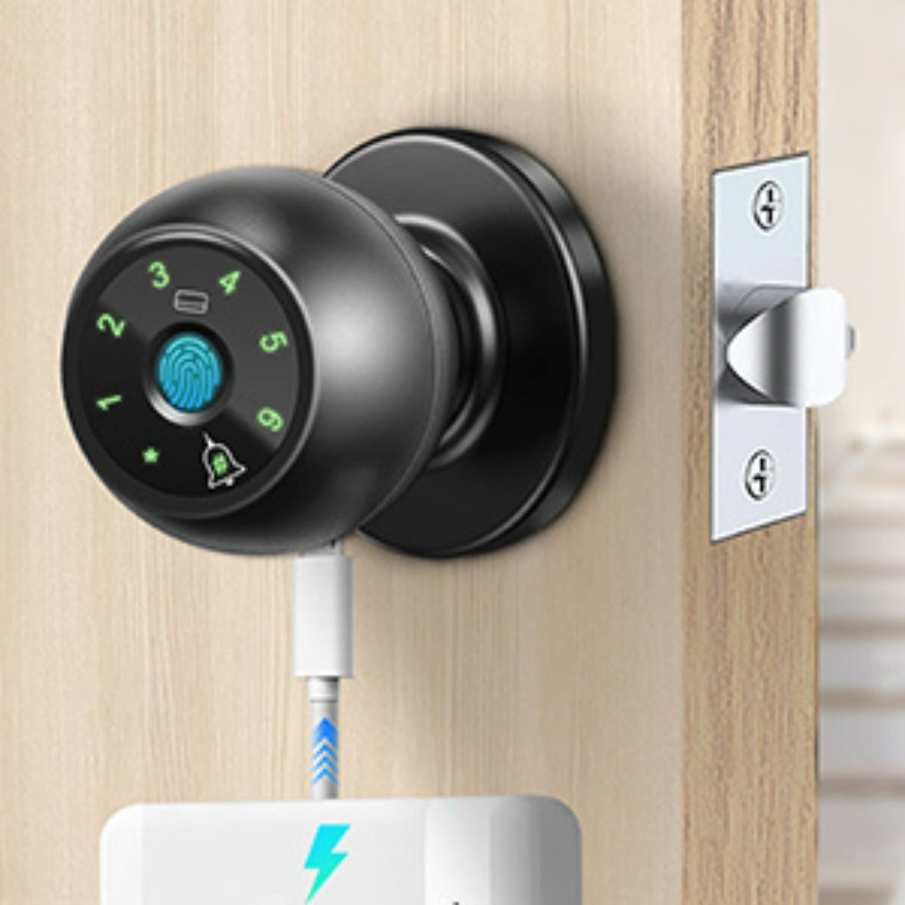 Smart Fingerprint Door Handle, This Biometric Lock Offers Five Unlocking Methods: Via Fingerprint, App, IC Card, Password, And Backup Key. It Is a Keyless Entry System, Ideal for Bedrooms And Apartments