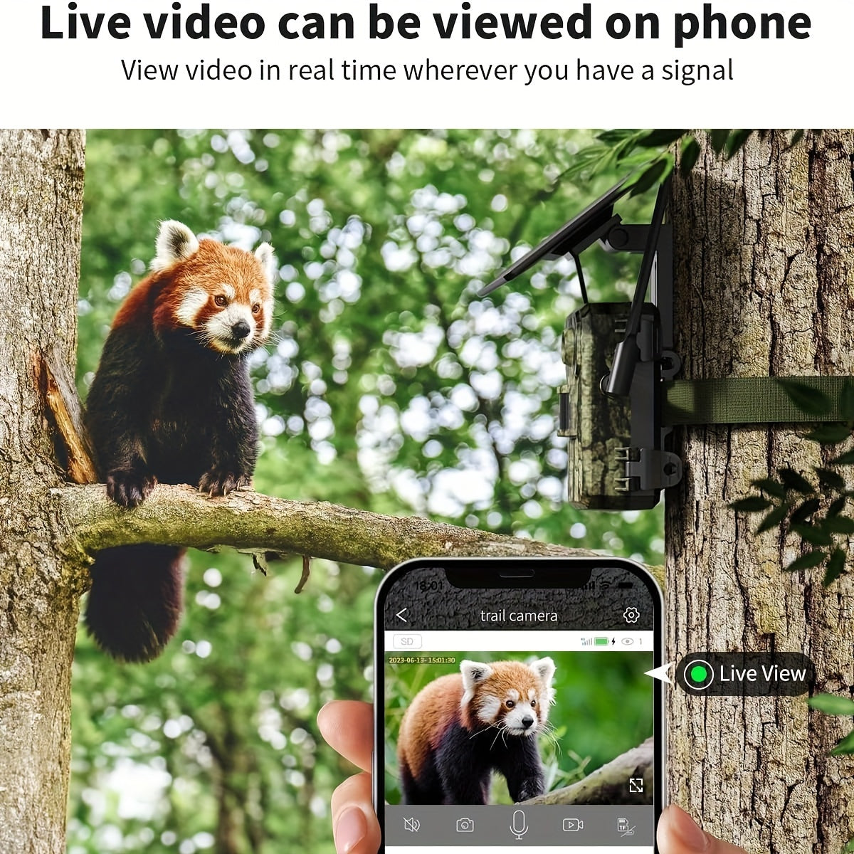 4pcs 4G LTE Cellular Trail Cameras with Ultra-HD Live View, Automatic Night Vision, A Built-in SIM Card, Remote Phone Access, 0.2s Motion Activation, And A Solar Panel for Use In Areas Without WiFi Signals. IP65 Waterproofing Makes Them Ideal for Hunting