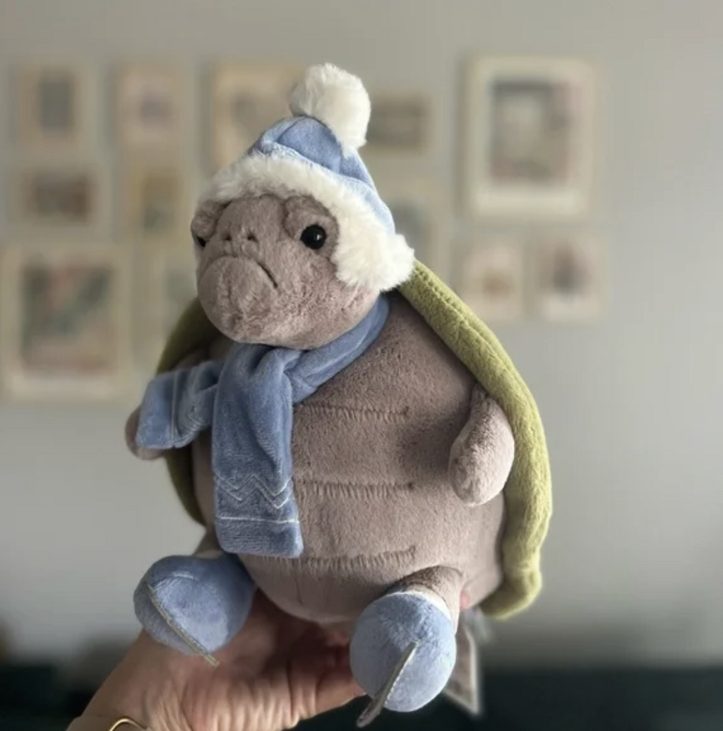 Timmy Turtle Plush