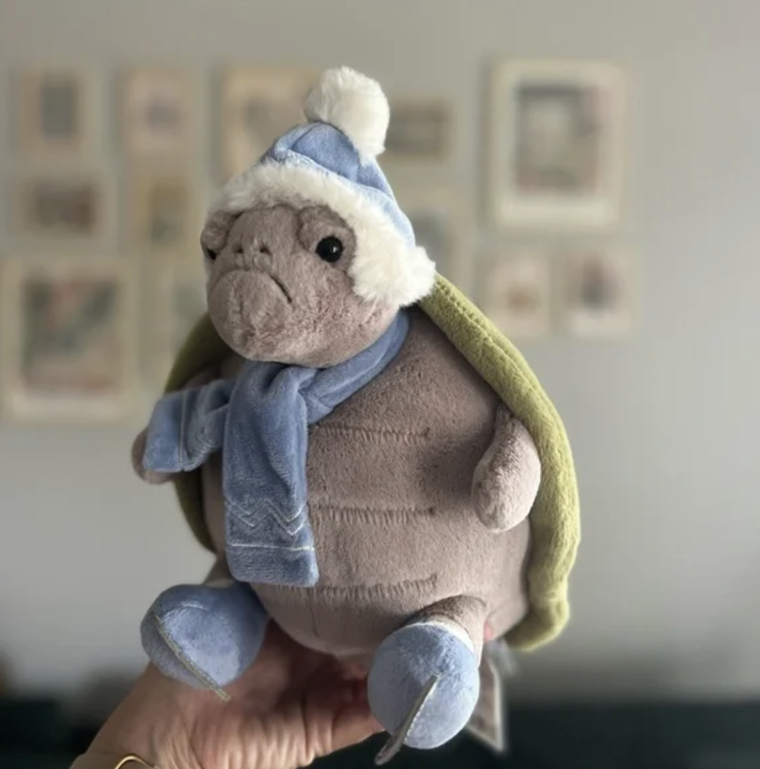 Timmy Turtle Plush