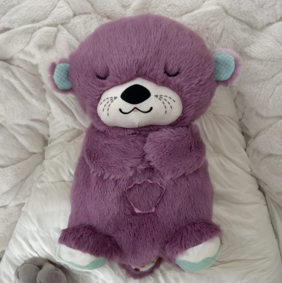 Comfort Teddy