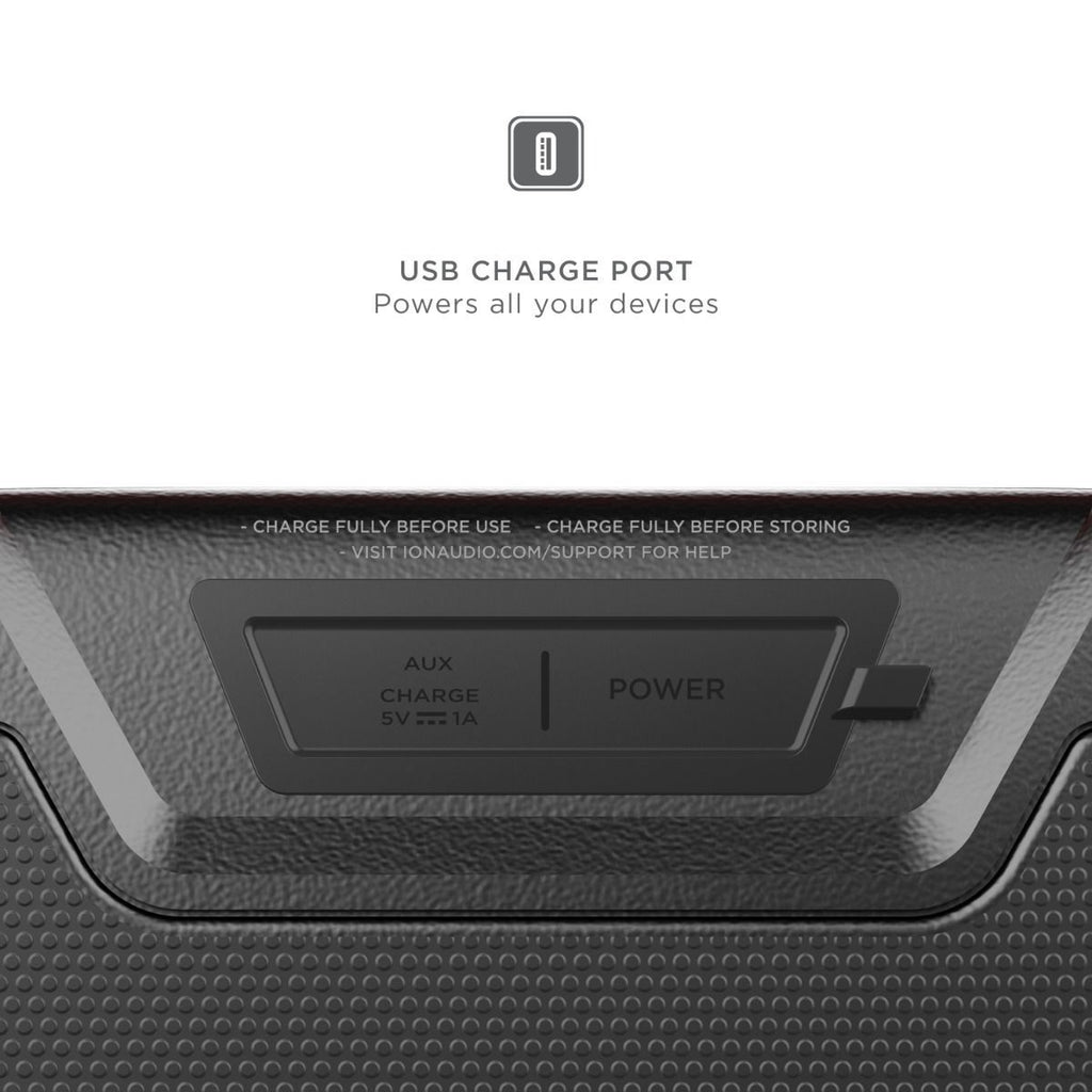 ION Audio Pathfinder Go Portable Speaker - Black