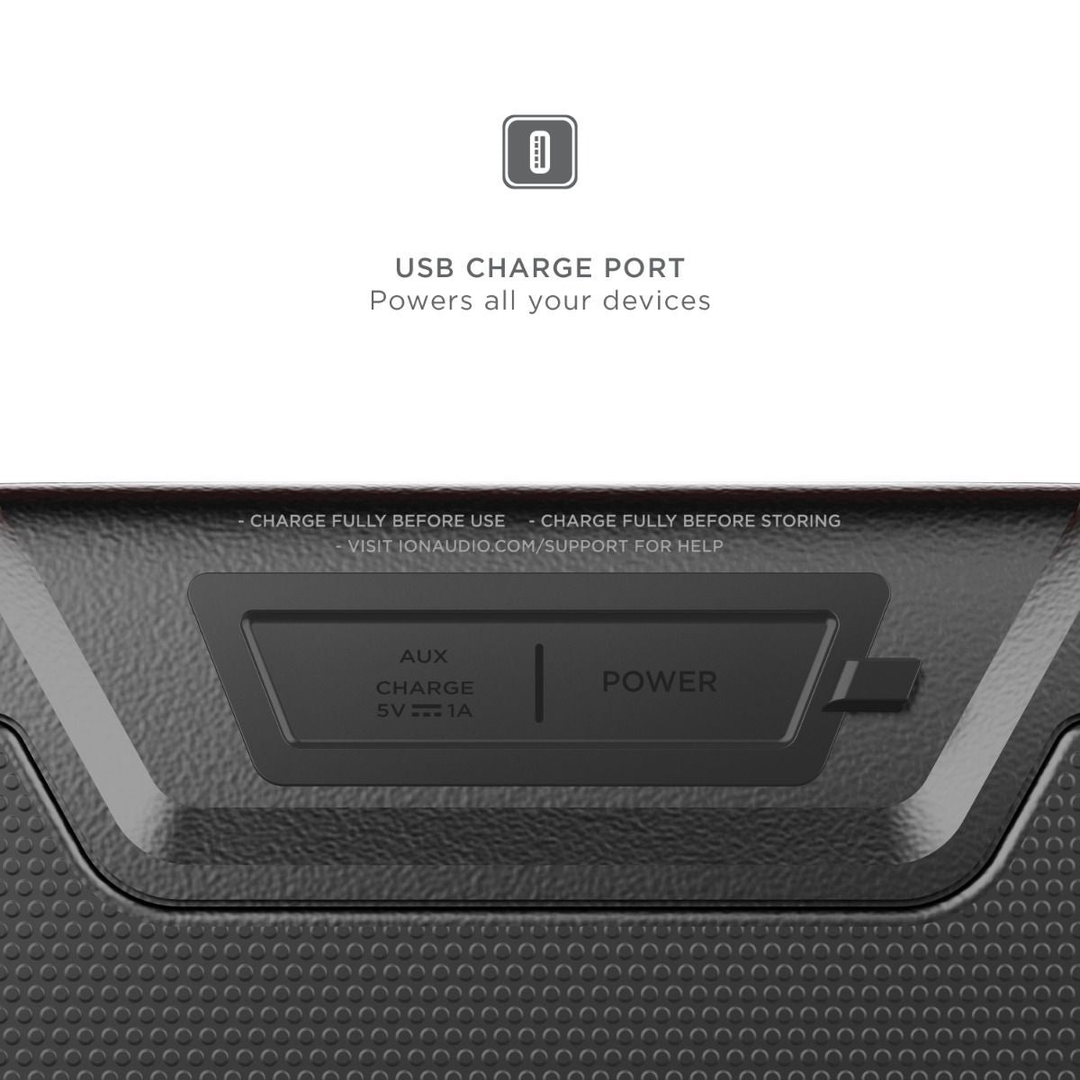 ION Audio Pathfinder Go Portable Speaker - Black