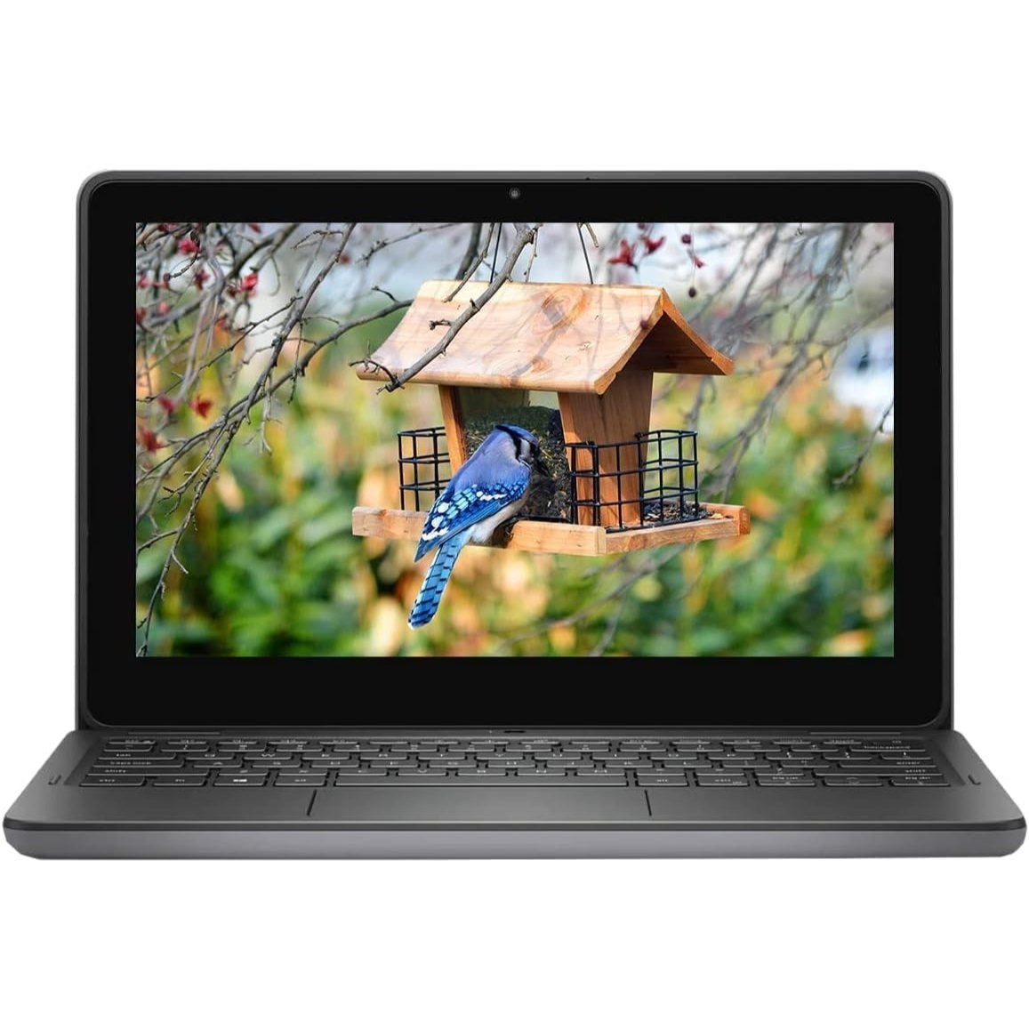 Dell Latitude 3120 2-in-1 Laptop Touch | 11.6" 1366x768 HD | Celeron - N6000 -256GB SSD Hard Drive - 8GB RAM Windows 11 Pro