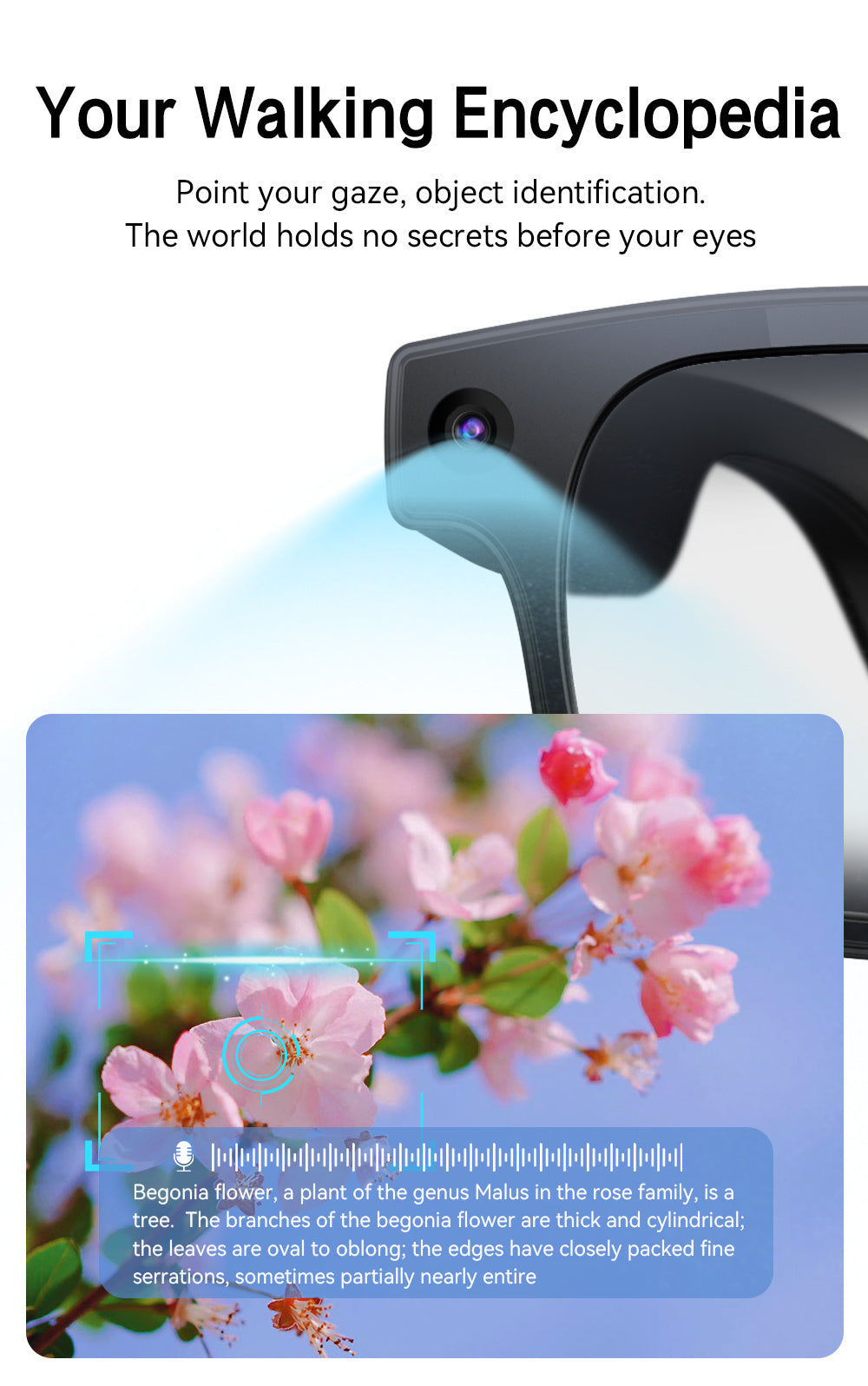 AI Smart Glasses with 8MP Camera, HD Video Recording, Real-Time Translation, Bluetooth Calls & Music, Touch Control, AI Recognition – Travel & Outdoor