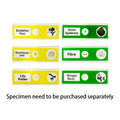 Microscope And Specimen Need to Be Purchased Separately Digital Microscope with 7-Inch High-Definition IPS Coin Microscope for Incorrect Coins, 1200X Soldering Microscope with 8 LED Lights, USB Microscope for Windows