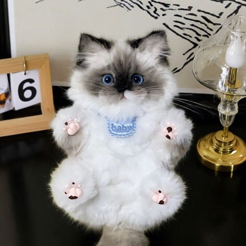 2pcs Fluffy Pipe Cleaner Cat Keychain, Ideal Birthday Gift For Girlfriend, Cute Handmade Cat Charm For Keys(Not A Finished Product Instructional Video On The Product Details Page)