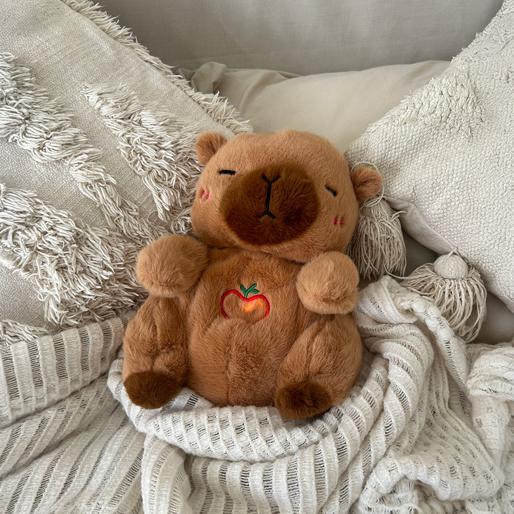 Comfort Teddy