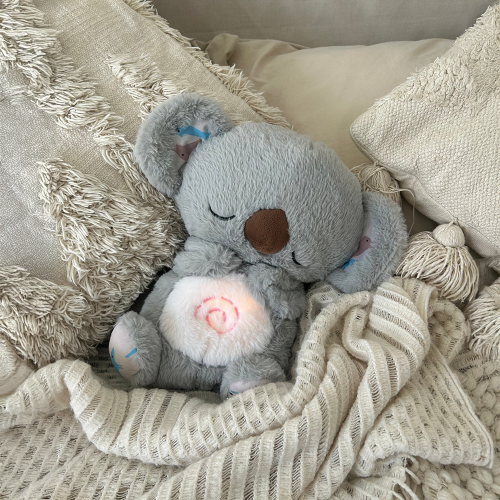 Comfort Teddy